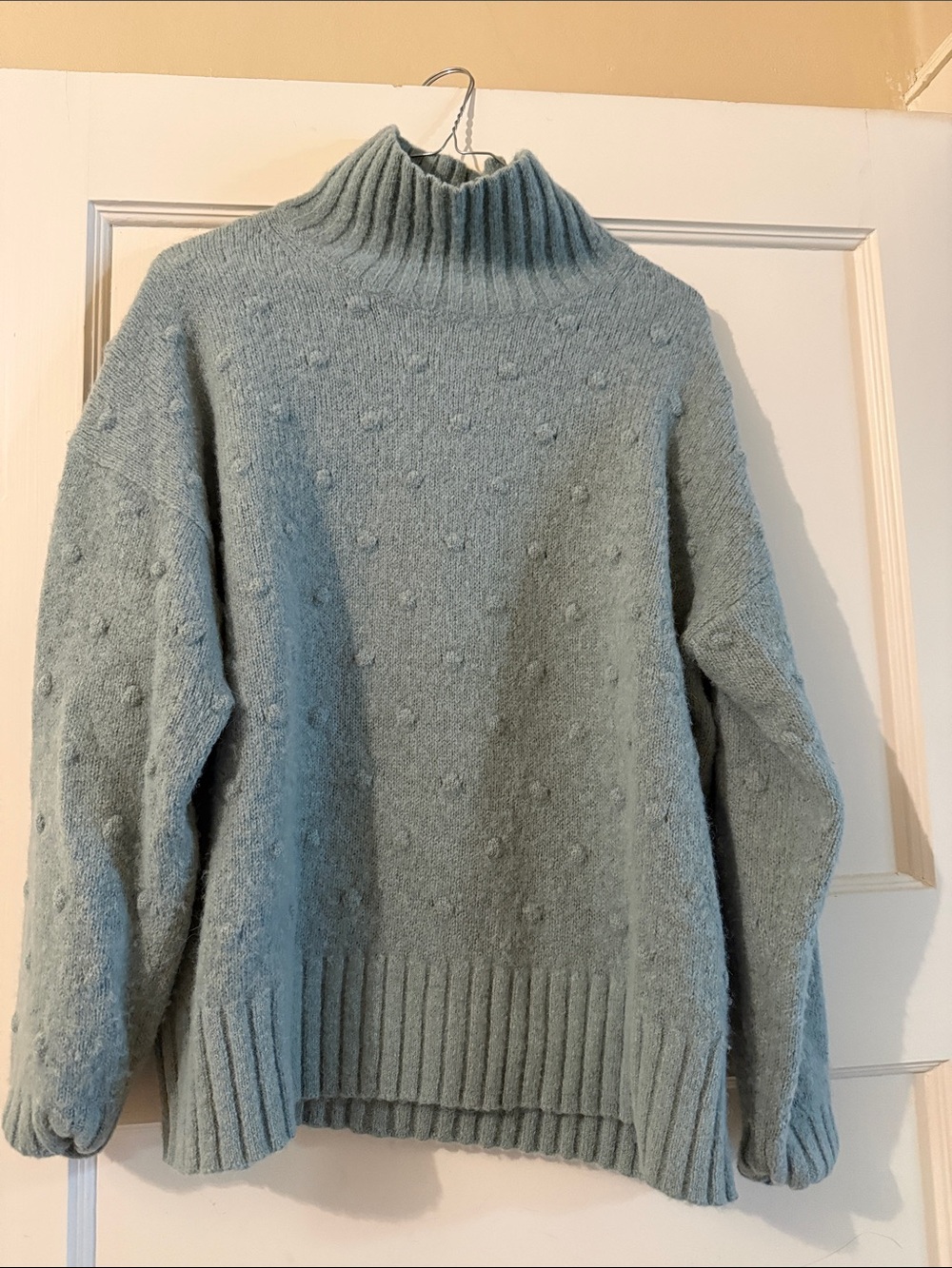 Everlane Sage Green Ribbed Turtleneck Bobble Sweater